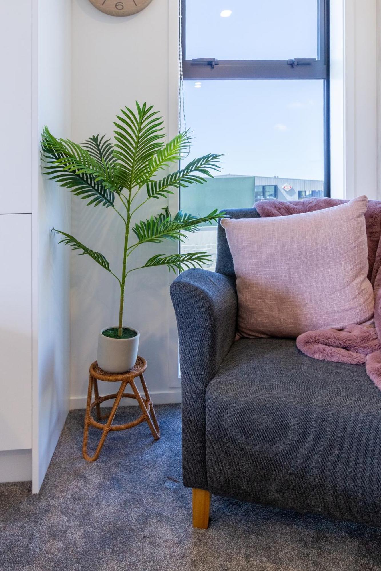 Studio Bliss: Explore From Wilmer St Christchurch Dış mekan fotoğraf